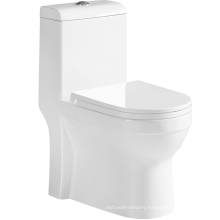 White Dual-Flush Elongated One-Piece Toilet for Adult